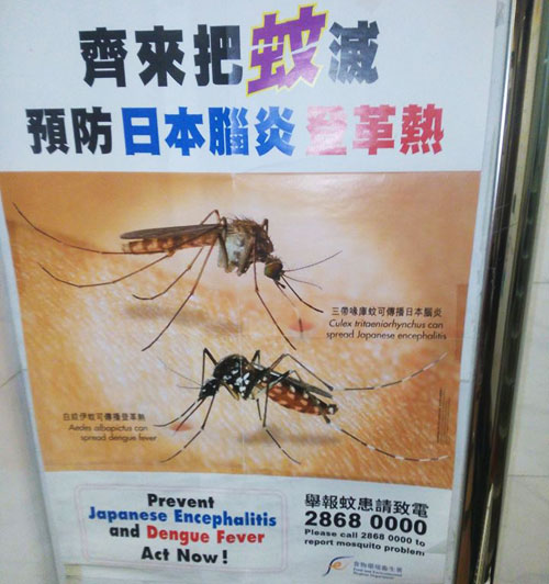 Остерегайтесь комаров!